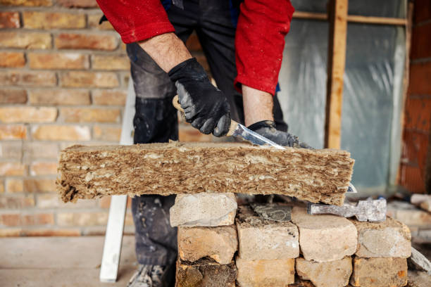 Professional Insulation Contractor in Demorest, GA
